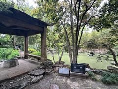 -汇龙潭