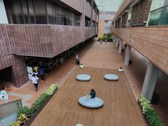 -香港大学