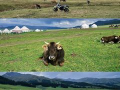 -新疆那拉提国家旅游度假区