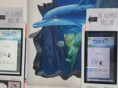 -黄金海岸水上乐园