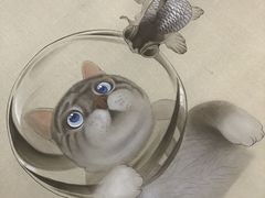 -六出私塾LiuChu•成人美术书法系统课程专业画室(熊婆婆的花园店)