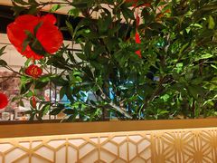 -德川家日本料理(顺义华联店)