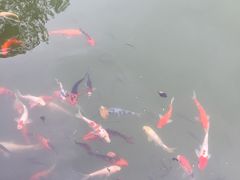 -牛鱼嘴原始生态风景区
