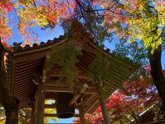 -常寂光寺