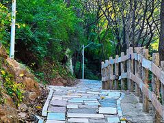 -大岭沟猕猴桃谷风景区