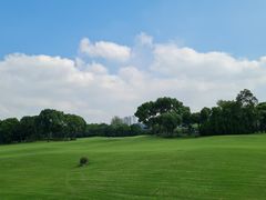 -银涛高尔夫练习场(徐泾店)