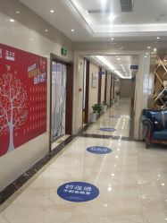 -碧莲盛·不剃发植发