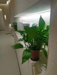 -美丽妈妈产后恢复中心(三林店)