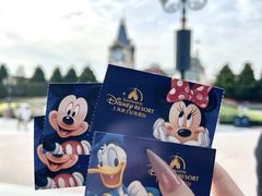 -上海迪士尼度假区