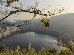 -黄埔油麻山森林公园