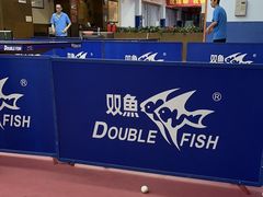 -大凤凰乒乓球馆