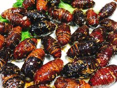 -久儿地炉烤肉(海信慧园店)