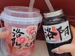 -洛阳古墓博物馆