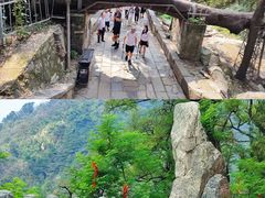 -泰山风景名胜区