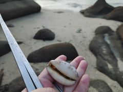 -后海村