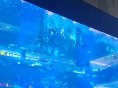 -成都浩海立方海洋公园