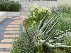 -翠贝卡&Mama Kelly Brunch Coffee(河西店)