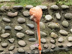 -广东茂名森林公园
