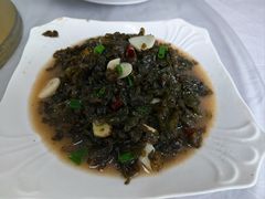 -谢氏农家
