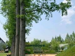 -前小桔亲子创意农场·草莓采摘·露营烧烤