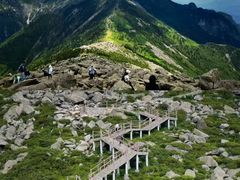 -朱雀国家森林公园