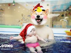 -龙格亲子游泳俱乐部(泊富中心)