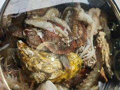 -大锅强·蒸海鲜青岛菜(金沙滩店)