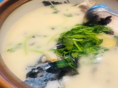 -老淳安—伴山伴湖(千岛湖开元度假村店)