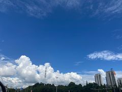 -野象谷景区