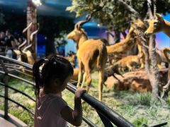 -国家自然博物馆