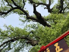 -新安江山水画廊风景区