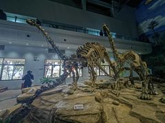 -自贡恐龙博物馆