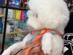 -佳雯宠物医院·皮肤科·内外科(春晓路分院)