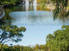 -上海共青森林公园