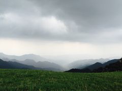 空中草原-空中草原