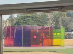 -金泽21世纪美术馆