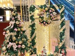 -上海锦江汤臣洲际大酒店壹阶层