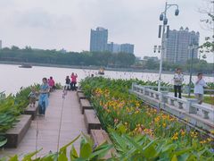 -顺峰山公园