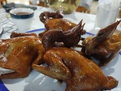 -光明农场大观园