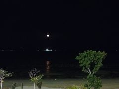 -巨鹏飞梦幻海岸