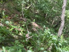 -玉渡山风景区-售票处