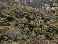 -青峰峡国家森林公园