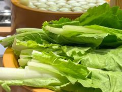 -龍歌自助小火锅(崂山丽达店)