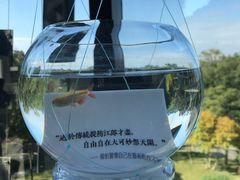 -知美术馆