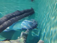 -上海海洋水族馆