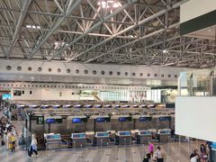 -米兰马尔彭萨国际机场