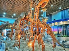 -国家自然博物馆