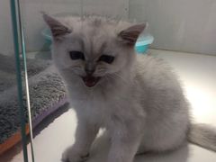 -龟与熊猫宠物公园(南坪店)