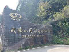 -武陵山森林公园