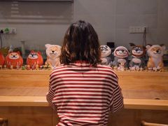 -柴务处·柴犬主题狗咖